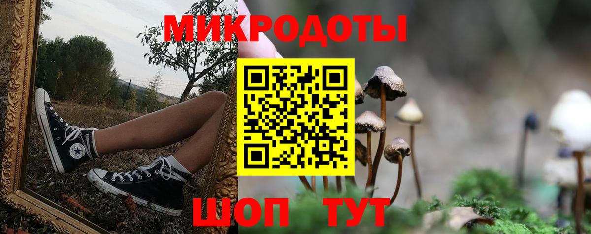 где купить наркоту  Псилоцибиновые грибы Magic Shrooms  Вход с VPN  Новочеркасск 